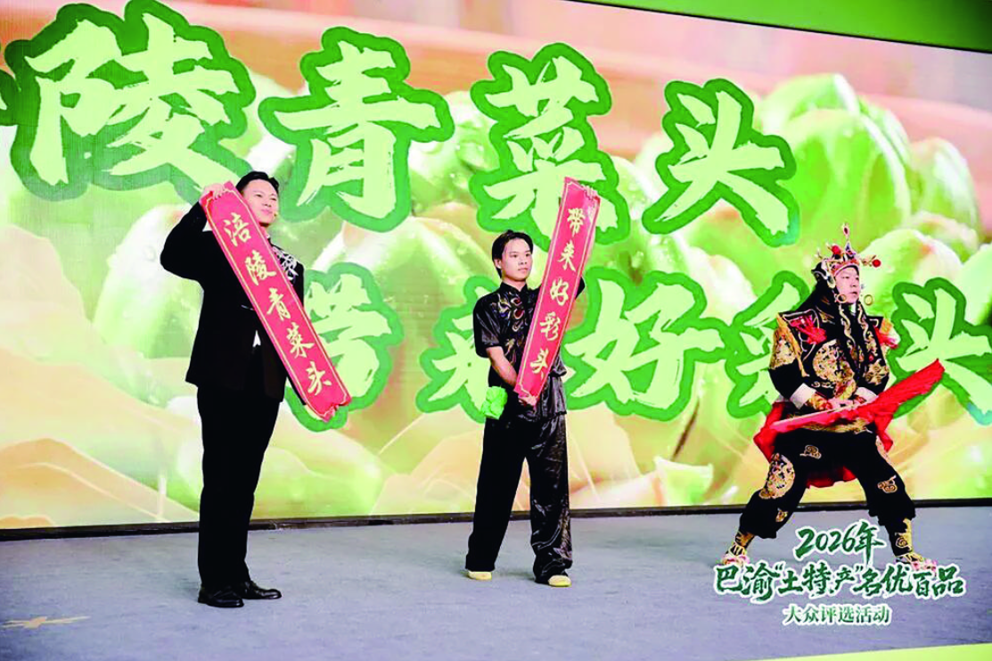 涪陵青菜头展示环节.png