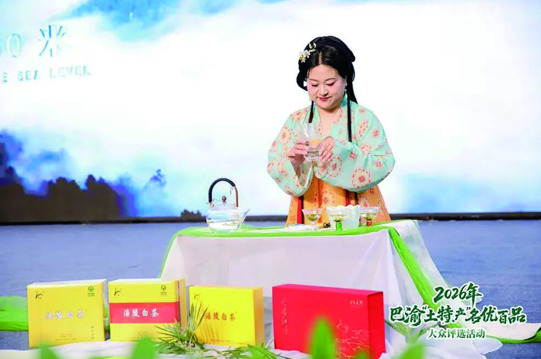 茶艺师展示涪陵白茶冲泡技艺.png